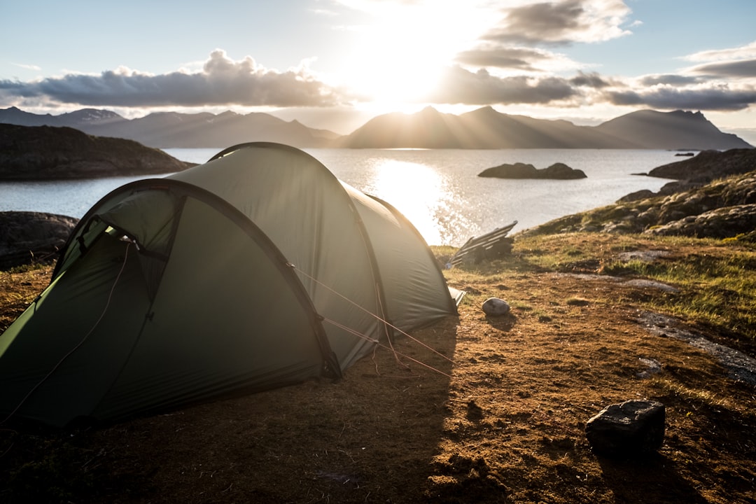 Oplev Naturen på Ribe Camping med Den Perfekte Campingplads