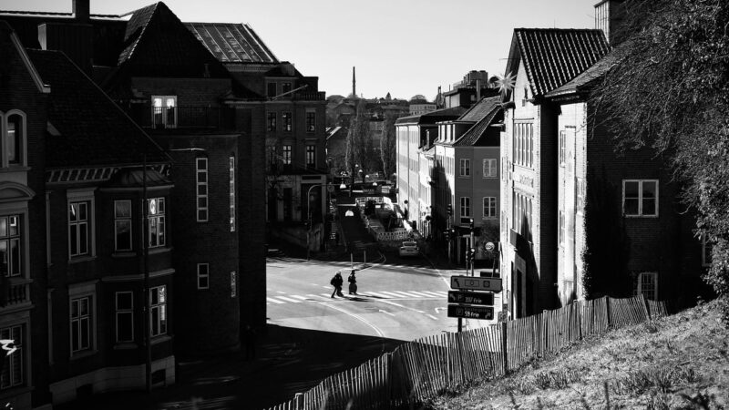 Sådan vælger du det rette flyttefirma i Kolding til din næste flytning